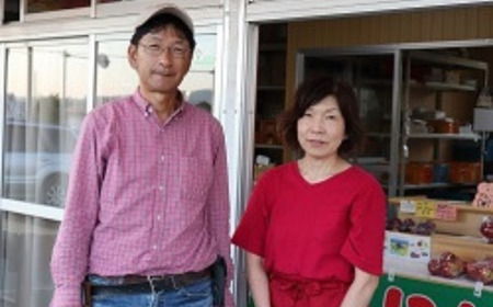 <2025年11月中旬よりお届け> 北海道壮瞥町 りんご 「ぐんま名月」8~10玉約3kg【 ふるさと納税 人気 おすすめ ランキング りんご リンゴ 林檎 ぐんま名月 甘い 蜜 北海道 壮瞥町 送料無料 】 SBTF004