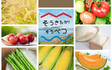 【新米】【令和7年産 6ヶ月定期配送】（精米10kg）ホクレン北海道ななつぼし（5kg×2袋） SBTD097