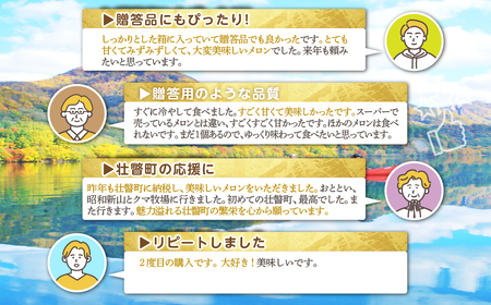 ＜2026年7月上旬よりお届け＞北海道壮瞥産 赤肉メロン「北紅クイーン」2玉入り約3.5kg以上 SBTP013