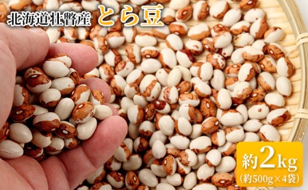＜2022年10月初旬よりお届け＞北海道壮瞥産　とら豆　約2kg（約500g×4袋）