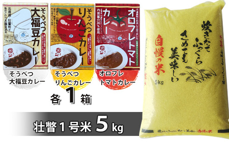 北海道壮瞥産　お米とレトルトカレー3種セット