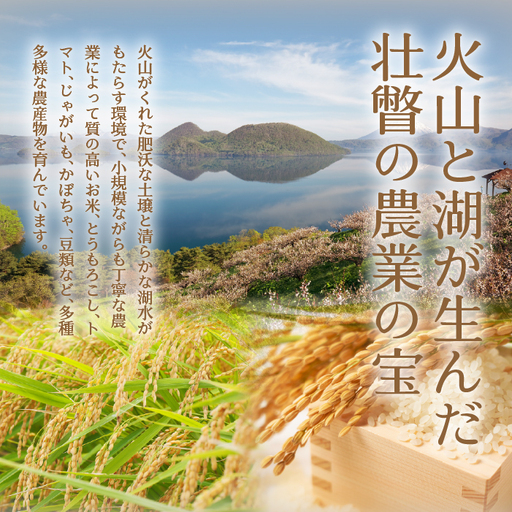 【新米】【令和7年産米】【5ヶ月定期配送】（無洗米300g）ホクレンゆめぴりか SBTD150