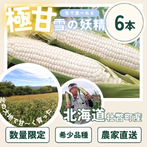 ＜2026年8月下旬よりお届け＞＜朝採り＞北海道壮瞥産 白いとうもろこし「雪の妖精」Lサイズ6本(約2kg) 【 ふるさと納税 人気 おすすめ ランキング ホワイトコーン 雪の妖精 白い 白 トウモロコシ とうもろこし 野菜 甘い 北海道 壮瞥町 送料無料 】 SBTQ005　