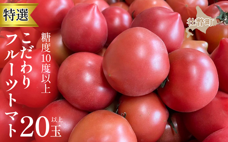 ＜2024年6月下旬よりお届け＞【特選・糖度10度以上】【農園直送】北海道壮瞥産 こだわりフルーツトマト 20玉以上 野菜 トマト 産地直送 夏 旬 旬の野菜 とまと 季節商品 先行予約