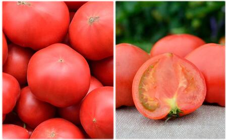 【糖度8度以上】フルーツトマトジュース 710ml×2本 SBTO001