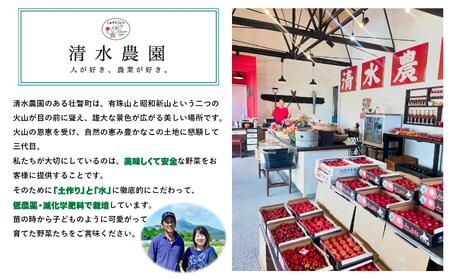 【糖度8度以上】フルーツトマトジュース 710ml×2本 SBTO001