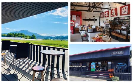 【特選・糖度10度以上】フルーツトマトジュース 710ml×2本 SBTO014