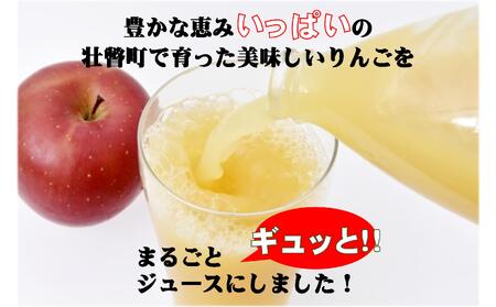 〈2026年1月下旬よりお届け〉りんごジュース「北国の雫」(壮瞥町産りんご100%) 300ml×5本 SBTA082