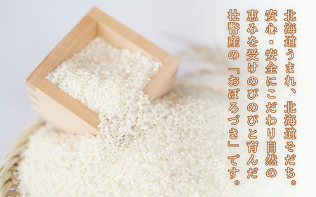 【令和7年産新米】 10月上旬よりお届け あのさんちの美味しいお米 おぼろづき 精米5kg SBTL017