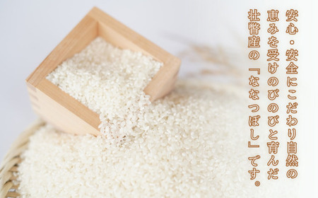 【令和7年産】 10月上旬よりお届け あのさんちの美味しいお米 ななつぼし 精米5kg SBTL018