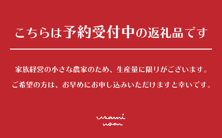 【2026年予約】極旨トマトクール便 北海道壮瞥町産 ラビットゴッホ3kg 中玉トマト SBTAJ004