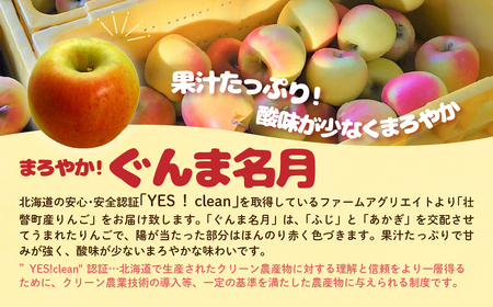 ファームアグリエイトのりんご「ぐんま名月」 約5kg（16～20玉） SBTB014