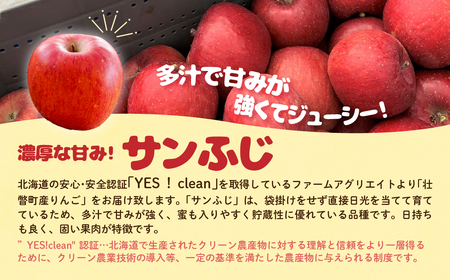 ファームアグリエイトのりんご「サンふじ」約5kg（16～20玉） SBTB015