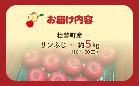 ファームアグリエイトのりんご「サンふじ」約5kg（16～20玉） SBTB015