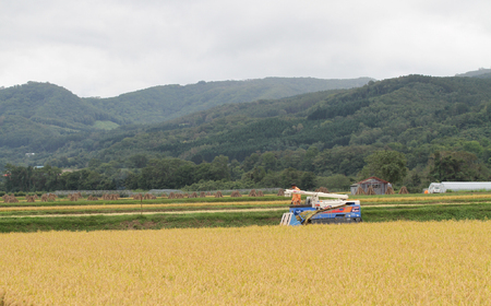 【令和7年産】 北海道壮瞥町産 清水農園のななつぼし 5kg SBTO015