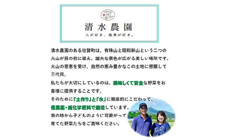 【令和7年産】 北海道壮瞥町産 清水農園のななつぼし 5kg SBTO015