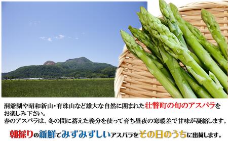 ＜2026年5月中・下旬よりお届け＞北海道壮瞥産「ファーム横山」朝採れ直送　グリーンアスパラ約1kg（L・2L混合） SBTM008
