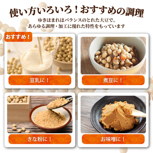 農家直送【新豆】令和7年産 北海道壮瞥町産大豆17㎏ 食品 農家直送【新