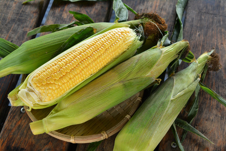 ＜2026年8月下旬よりお届け＞【朝採り】北海道壮瞥町産　とうもろこし恵味（めぐみ）Lサイズ以上約10kg（22～25本） SBTL013 | とうもろこし コーン 野菜 