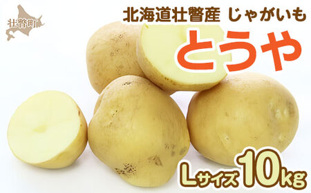 ＜2025年9月下旬よりお届け＞北海道壮瞥町産じゃがいも（とうや）Lサイズ10kg 【 ふるさと納税 人気 おすすめ ランキング 野菜 いも 芋 じゃがいも じゃが芋 ジャガイモ ポテト国産 おいしい 美味しい 北海道 豊浦町 送料無料 】SBTN005