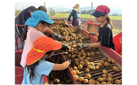 <2023年9月下旬よりお届け>北海道壮瞥町産じゃがいも(とうや)Lサイズ20kg SBTN005