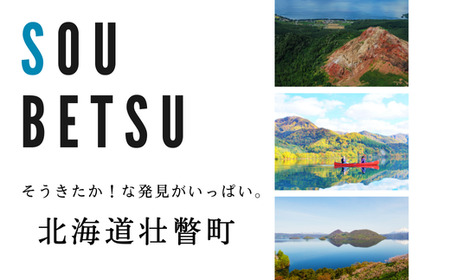 ＜2025年８月下旬頃よりお届け＞北海道壮瞥産 幻のじゃがいも インカのめざめ約8.5kg 【 ふるさと納税 人気 おすすめ ランキング じゃがいも ジャガイモ インカのめざめ 野菜 甘い ほくほく フライドポテト 北海道 壮瞥町 送料無料 】 SBTO002