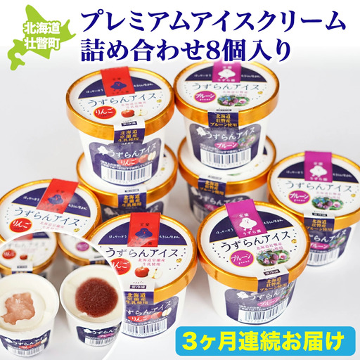 プレミアムアイスクリーム詰め合わせ8個入り 3ヶ月連続お届け SBTA026