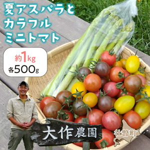 <2022年7月上旬よりお届け>北海道壮瞥町産 大作農園「夏アスパラとカラフルミニトマト」のセット約1.3kg