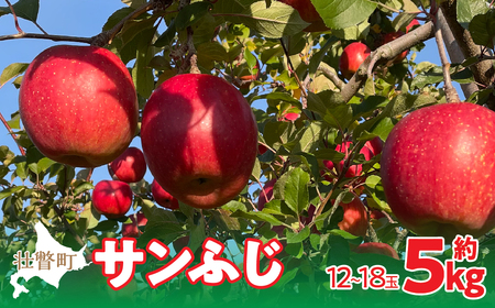 ＜2024年12月上旬よりお届け＞北海道壮瞥町　りんご　品種名「サンふじ」12～18玉約5kg フルーツ 果物 りんご 果樹