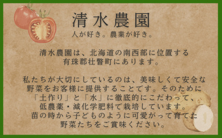 ＜2025年9月初旬よりお届け＞【農園直送】清水農園の野菜2種セット（じゃがいも・かぼちゃ）計約10kg 【 ふるさと納税 人気 おすすめ ランキング じゃがいも ジャガイモ かぼちゃ カボチャ 南瓜 野菜 甘い ほくほく しっとり北海道 壮瞥町 送料無料 】 SBTO006