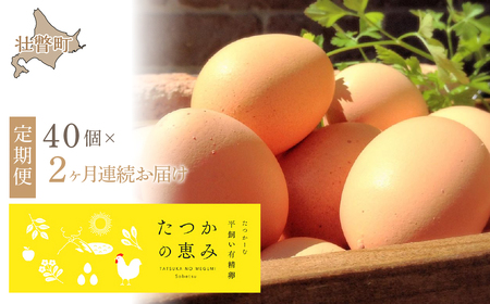 平飼い有精卵『たつかの恵み』40個×2ヶ月連続お届け 【 ふるさと納税 人気 おすすめ ランキング 卵 たまご タマゴ たまごかけご飯 目玉焼き ゆでたまご 卵焼き 定期便 北海道 壮瞥町 送料無料 】 SBTT001