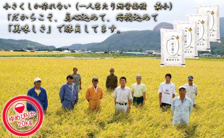 【令和4年産米】北海道壮瞥産 ゆめぴりか 5kg×4袋 計20kg