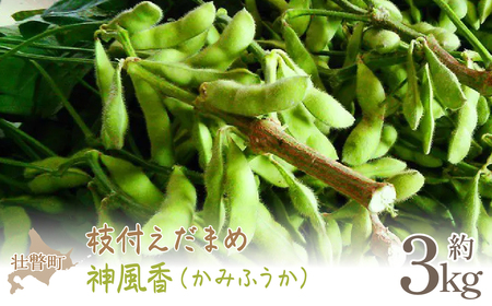 【新豆】令和5年産 北海道壮瞥町産大豆20㎏
