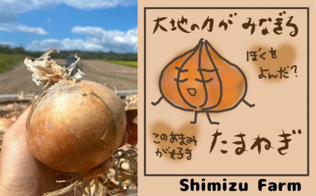 ＜2025年9月初旬よりお届け＞北海道壮瞥町産　玉ねぎ約10kg【 ふるさと納税 人気 おすすめ ランキング 玉葱 玉ねぎ たまねぎ タマネギ オニオン 甘い 北海道 壮瞥町 送料無料 】 SBTO009