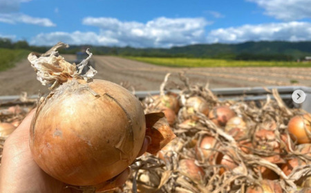 ＜2025年9月初旬よりお届け＞【農園直送】北海道壮瞥町産 清水農園の野菜2種セット（じゃがいも・玉ねぎ）計約10kg 【 ふるさと納税 人気 おすすめ ランキング じゃがいも ジャガイモ 玉葱 玉ねぎ たまねぎ タマネギ 野菜 甘い セット 北海道 壮瞥町 送料無料 】 SBTO010