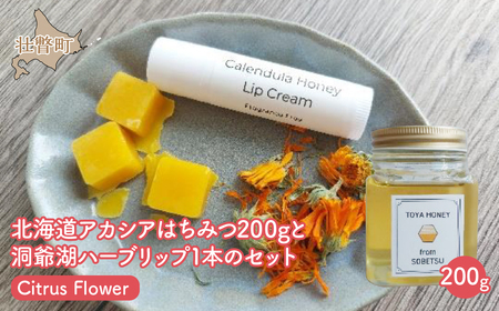 北海道アカシアはちみつ200gと洞爺湖ハーブリップ1本（Citrus Flower）のセット 【ふるさと納税 人気 おすすめ ランキング 加工食品 はちみつ 美容商品 化粧品 バーム リップクリーム カレンデュラ ハーブ 保湿 北海道 壮瞥町 送料無料】 SBTX006-2