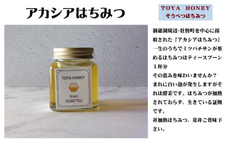 北海道アカシアはちみつ200gと洞爺湖ハーブリップ1本（Citrus Flower）のセット 【ふるさと納税 人気 おすすめ ランキング 加工食品 はちみつ 美容商品 化粧品 バーム リップクリーム カレンデュラ ハーブ 保湿 北海道 壮瞥町 送料無料】 SBTX006-2