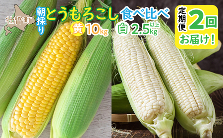 北海道壮瞥町 2回 定期便 8月・9月朝採り！産地直送 北海道壮瞥町産 とうもろこし黄・白 食べ比べ【 ふるさと納税 人気 おすすめ ランキング トウモロコシ とうもろこし ホワイトコーン ピュアホワイト 白い 白 野菜 甘い 定期便 北海道 壮瞥町 送料無料 】 SBTP011