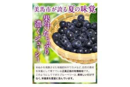 ＜ 先行予約 ＞ 美馬の大粒ブルーベリー（100g×6パック） 《6月上旬‐8月末出荷》ふるさと納税 ブルーベリー 徳島県 美馬市 果物 フルーツ 青果物 美馬市ブルーベリー研究会