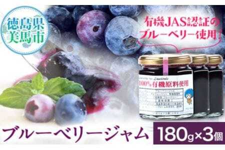 手作り ブルーベリージャム（180g×3個） ベリーベリーファームわきまち 《30日以内に出荷予定(土日祝除く)》