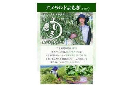 阿波みよし名産 祖谷の薬草 エメラルドよもぎのお風呂 25g×5パック 《30日以内に出荷予定(土日祝除く)》青空よもぎのしみず 薬草 よもぎ蒸し よもぎ 美容 送料無料 青空よもぎのしみず 入浴剤 エメラルドよもぎ 薬草 徳島県 美馬市 三好市 祖谷