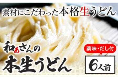 おうどんセット ６人前 《90日以内に出荷予定(土日祝除く)》和ぁさん家、株式会社栄工製作所 うどん 麺 生麺 生うどん 本格 手作り 和食 ご家庭用 こだわり お手軽 ギフト セット 薬味 だし付き 徳島県 美馬市