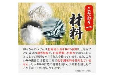おうどんセット ６人前 《90日以内に出荷予定(土日祝除く)》和ぁさん家、株式会社栄工製作所 うどん 麺 生麺 生うどん 本格 手作り 和食 ご家庭用 こだわり お手軽 ギフト セット 薬味 だし付き 徳島県 美馬市