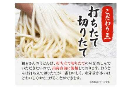 おうどんセット ６人前 《90日以内に出荷予定(土日祝除く)》和ぁさん家、株式会社栄工製作所 うどん 麺 生麺 生うどん 本格 手作り 和食 ご家庭用 こだわり お手軽 ギフト セット 薬味 だし付き 徳島県 美馬市
