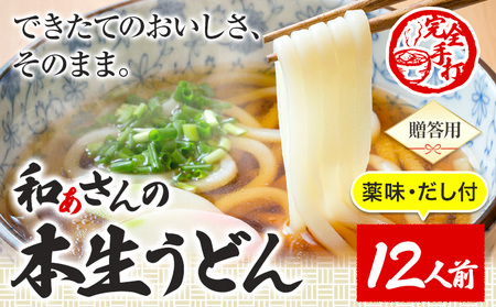 おうどんセット 12人前 《90日以内に出荷予定(土日祝除く)》うどんうどんうどんうどん