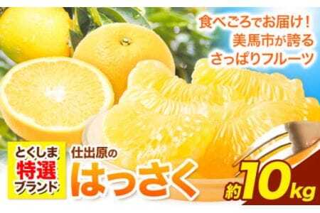 ＜ 先行予約 ＞ 八朔 はっさく 10kg 《2025年2月上旬‐2025年3月上旬頃出荷》仕出原八朔生産組合 徳島県 美馬市 果物 くだもの フルーツ 特選 ゼリー ジュース ピール