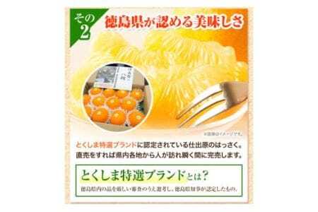 ＜ 先行予約 ＞ 八朔 はっさく 10kg 《2025年2月上旬‐2025年3月上旬頃出荷》仕出原八朔生産組合 徳島県 美馬市 果物 くだもの フルーツ 特選 ゼリー ジュース ピール