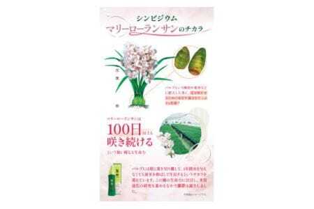 蘭夢 シャンプー 蘭夢 コンディショナー 計2本 《30日以内に出荷予定(土日祝除く)》株式会社 河野メリクロン 蘭 ラン 洋ラン 男性用 女性用 生え際 スカルプ 発毛促進 養毛 薄毛 シャンプー コンディショナー 送料無料 徳島県 美馬市
