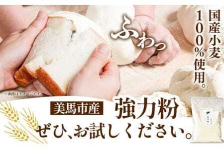 強力粉 1.5kg 美馬市産 《30日以内に発送予定(土日祝除く)》  実森ラボラトリー株式会社 自家製小麦のお店mimori 送料無料 徳島県 美馬市 お菓子 パン 小麦