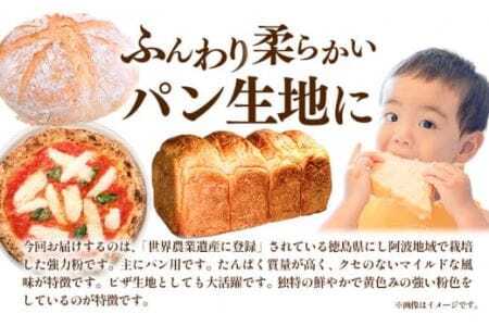 強力粉 3kg 美馬市産 《30日以内に発送予定(土日祝除く)》 実森ラボラトリー株式会社 自家製小麦のお店mimori 送料無料 徳島県 美馬市 お菓子 パン 小麦